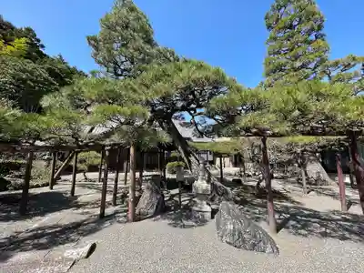 慈眼院(滋賀県)