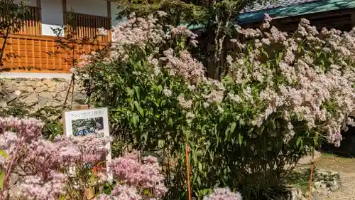 大原野神社(京都府)