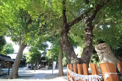 嶺御嶽神社の狛犬