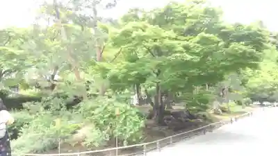 天龍寺(京都府)