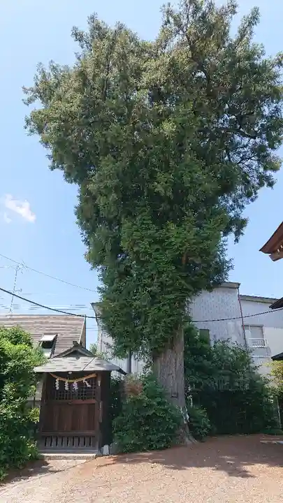 健田須賀神社の自然