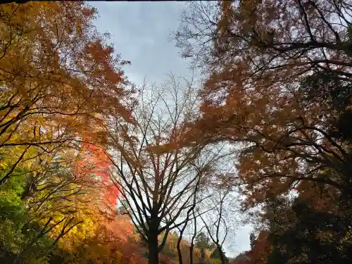 延命寺(大阪府)