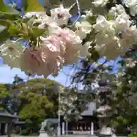日吉神社(愛知県)
