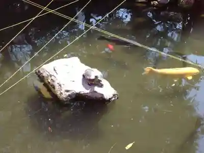 今泉八坂神社(栃木県)