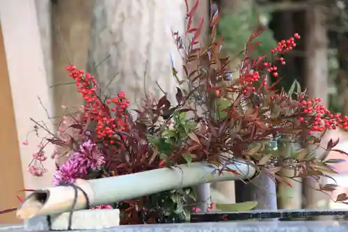 高司神社〜むすびの神の鎮まる社〜の手水