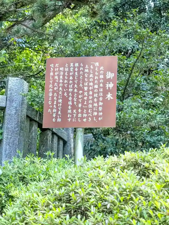 彌彦神社の{uncategorized: "未分類", other: "その他", undefined: "問題あり", building: "その他建物", grave: "お墓", sacred_gate: "鳥居", guardian: "狛犬", statue: "像", buddha: "仏像", history: "歴史", nature: "自然", garden: "庭園", animal: "動物", pagoda: "塔", temizu: "手水舎", mountain_gate: "山門・神門", sanctuary: "本殿・本堂", subordinate: "末社・摂社", art: "芸術", scenery: "景色", jizo: "地蔵", ema: "絵馬", goshuin: "御朱印", omikuji: "おみくじ", items: "授与品その他", amulet: "お守り", goshuincho: "御朱印帳", eats: "食事", festival: "お祭り", votive_dance: "神楽", shichigosan: "七五三参", wedding: "結婚式", experience: "体験その他", initially: "初詣", around: "周辺", anti_infection: "感染症対策"}
