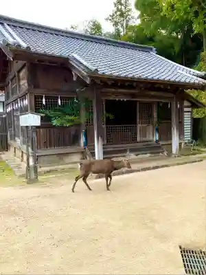 長浜神社(広島県)
