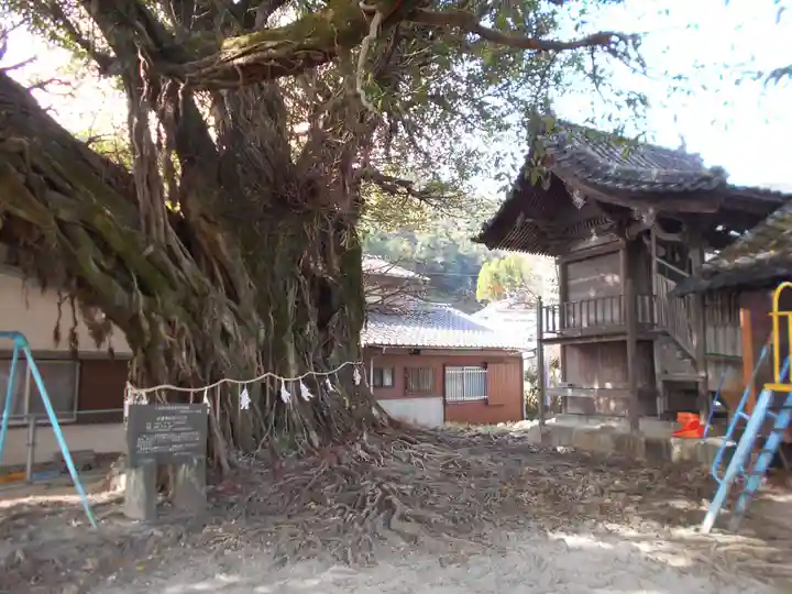 永目神社の自然