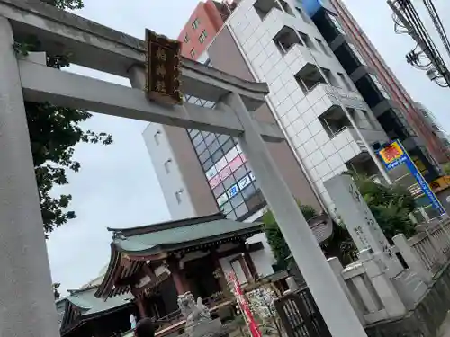 柏神社の鳥居