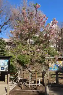 鳩森八幡神社(東京都)