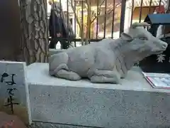 六波羅蜜寺の狛犬