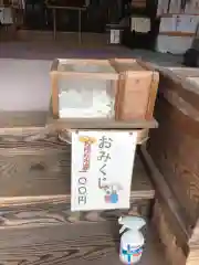 津田八幡宮のおみくじ