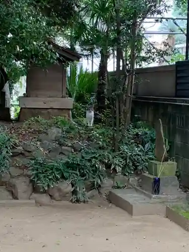 柏諏訪神社の庭園