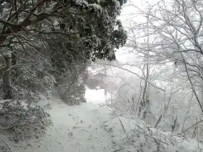 七面山奥之院の自然