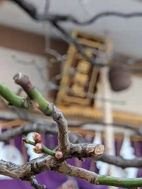 穏田神社(東京都)