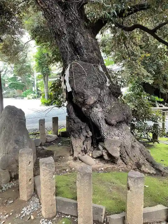 金王八幡宮(東京都)
