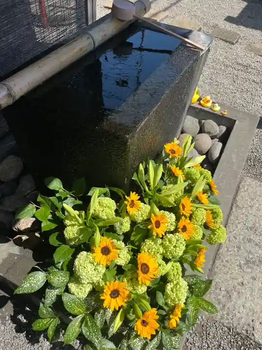 上尾御嶽神社の手水舎
