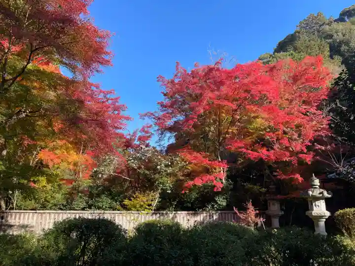 来迎院(京都府)