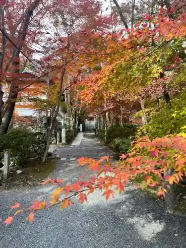神峯山寺(大阪府)
