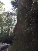 葭原神社(皇大神宮末社)の自然