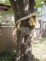 小室浅間神社のその他建物