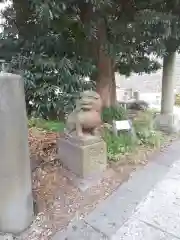 諏訪大神社の狛犬