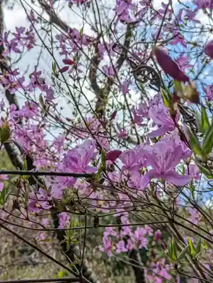 日向大神宮(京都府)