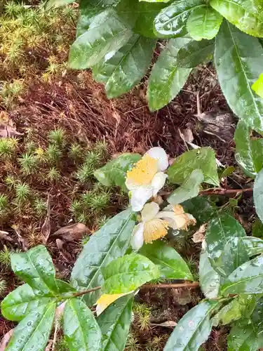 鹿王院(京都府)