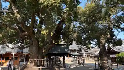 大聖観音寺（あびこ観音）(大阪府)