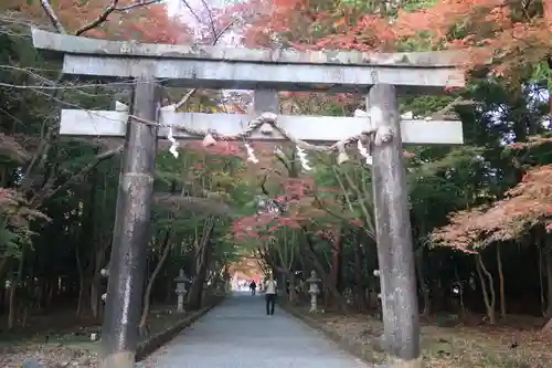 大原野神社の鳥居