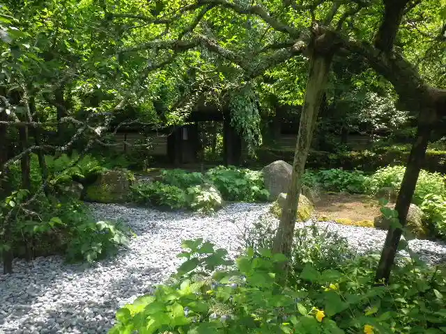 瑞泉寺の庭園