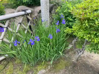東光院(大阪府)