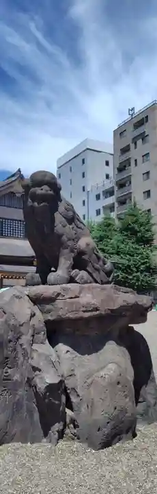 浅草神社の狛犬