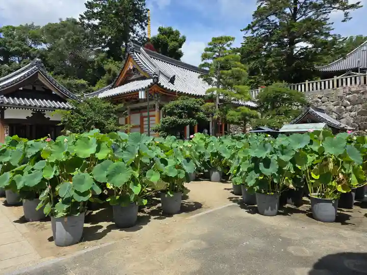 中山寺(兵庫県)