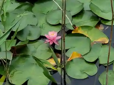 大池寺(滋賀県)