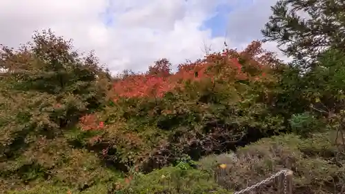 三鈷寺(京都府)