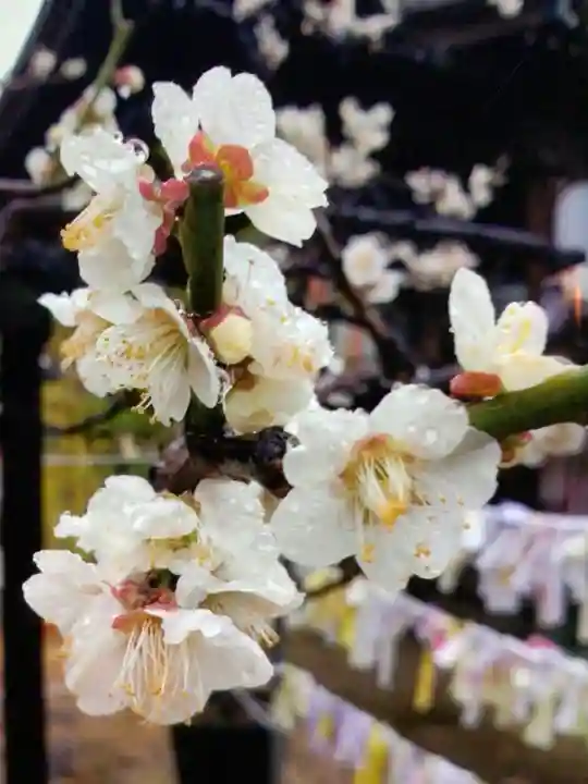 久富稲荷神社(東京都)