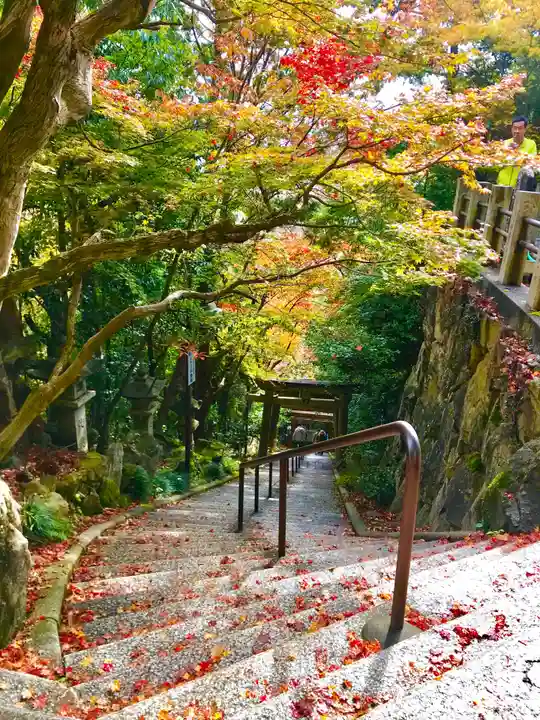 阿賀神社の自然
