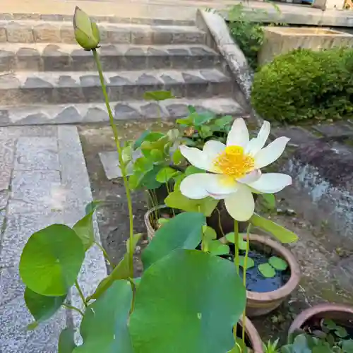 伊勢の国 四天王寺(三重県)