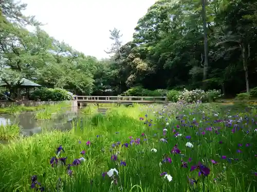 出雲大社の庭園