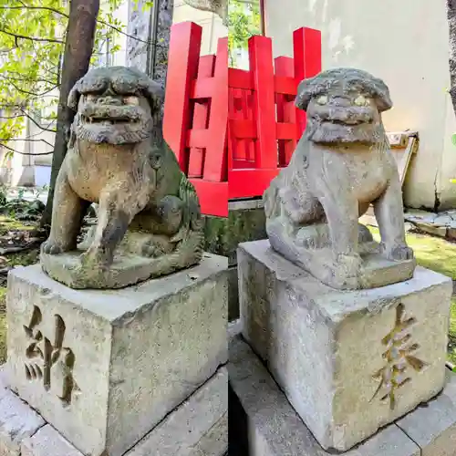 赤坂氷川神社の狛犬