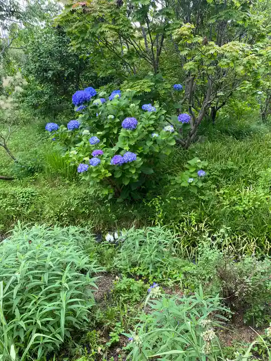 法華寺(奈良県)