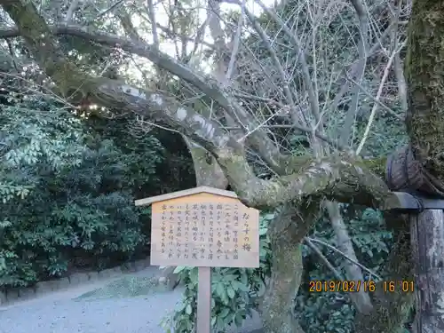 熱田神宮の自然