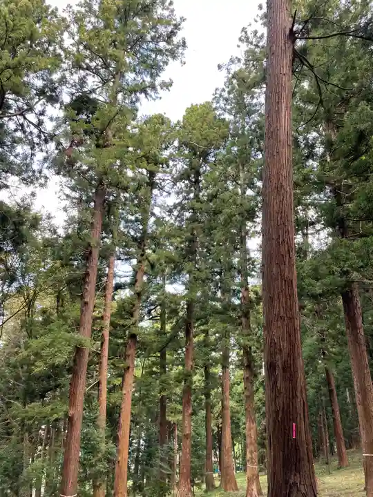 長者山新羅神社の周辺