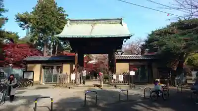 豪徳寺の山門・神門
