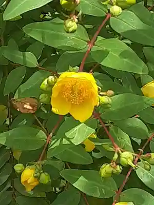 光則寺(神奈川県)