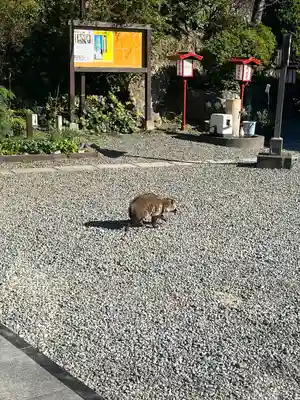 大船観音寺(神奈川県)