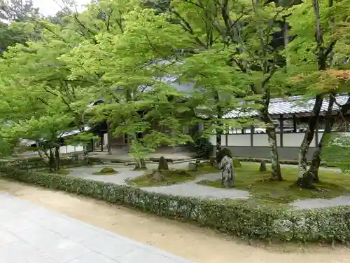 永源寺の庭園