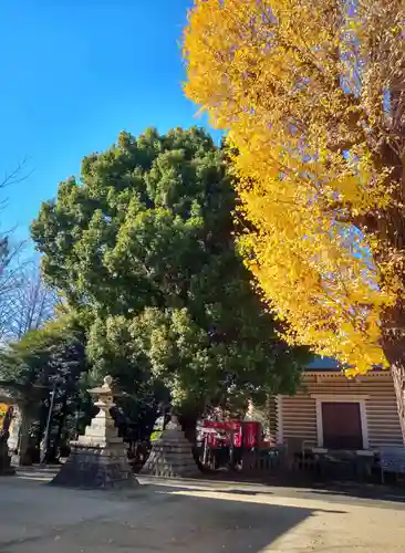 諏訪神社(東京都)