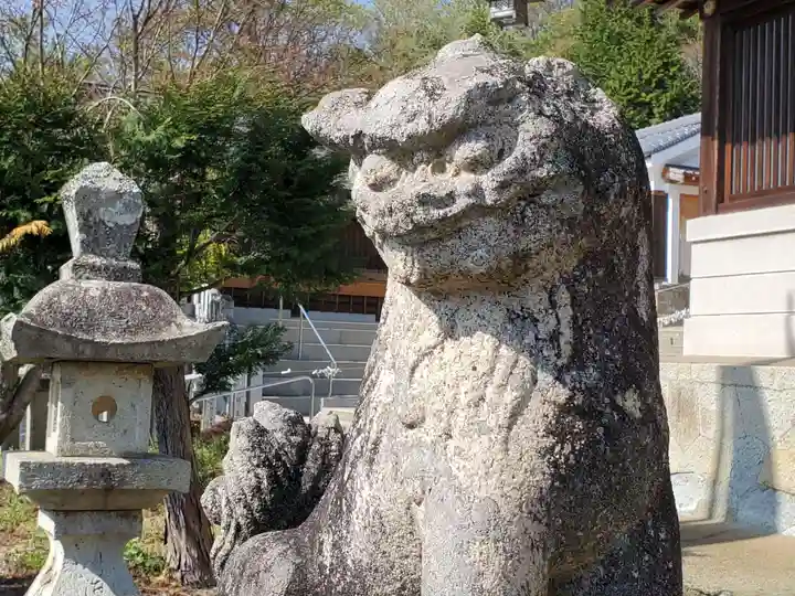 厄除八幡宮 の狛犬